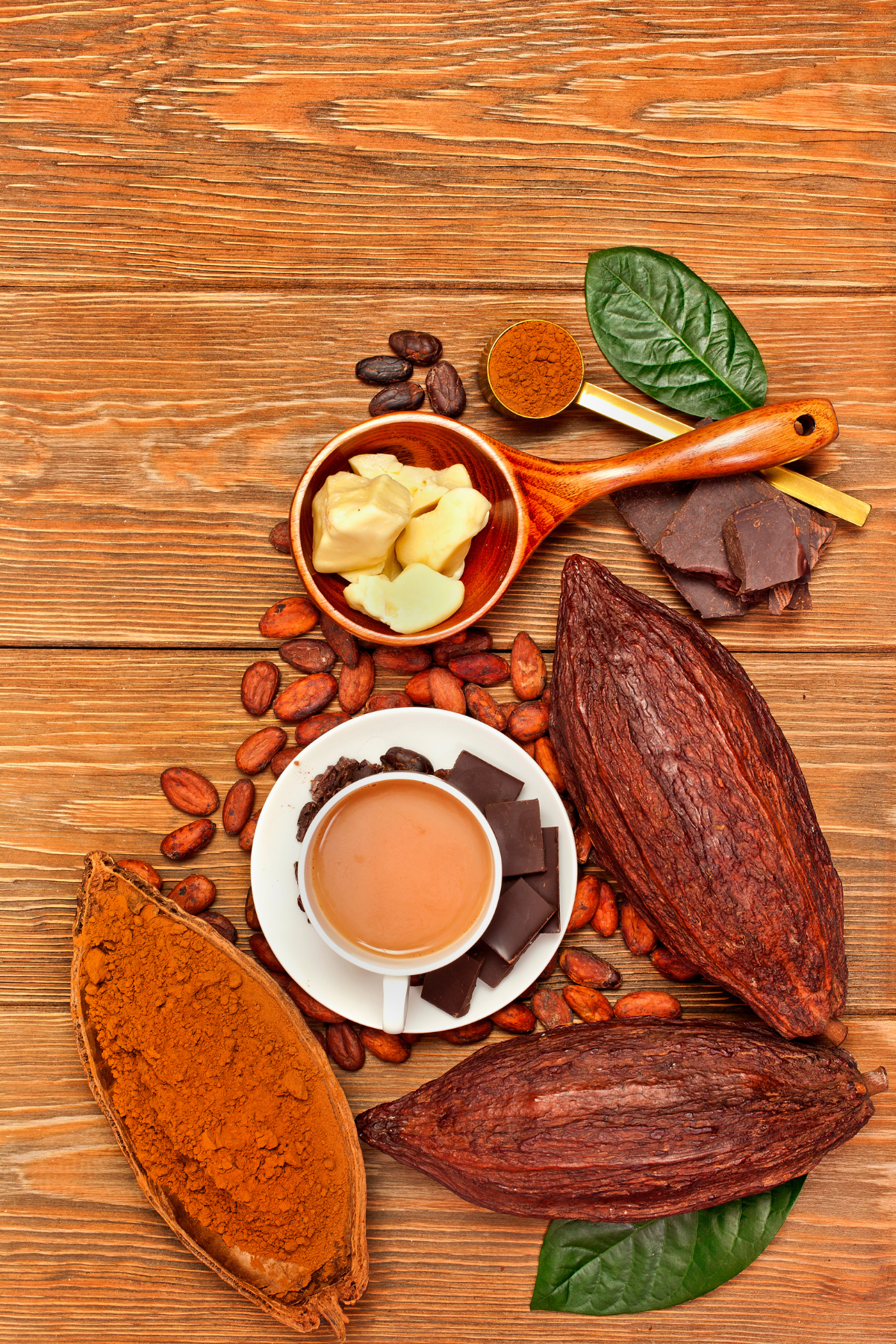 Best Cacao Powder